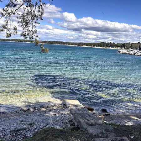 Eleonora Mare * Póla