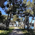Eleonora Mare * Πούλα
